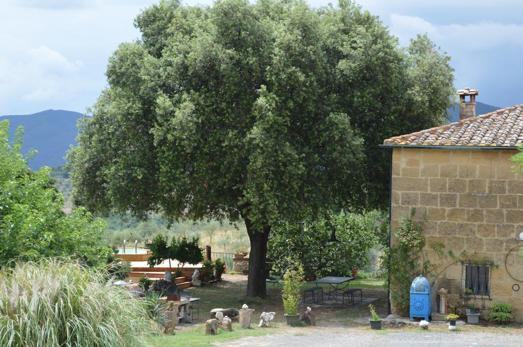 Agri-Bio Podere Santa Palmira Pomarance Exterior photo